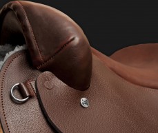 status_detalle_1